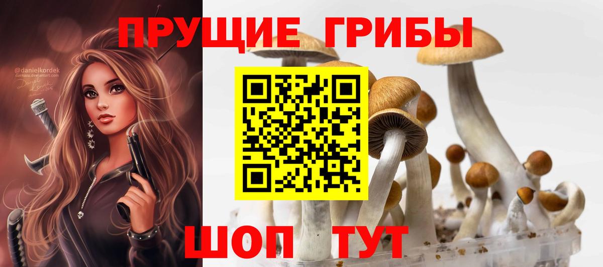 Хабаровск  Галлюциногенные грибы Psilocybe  Вход с VPN 